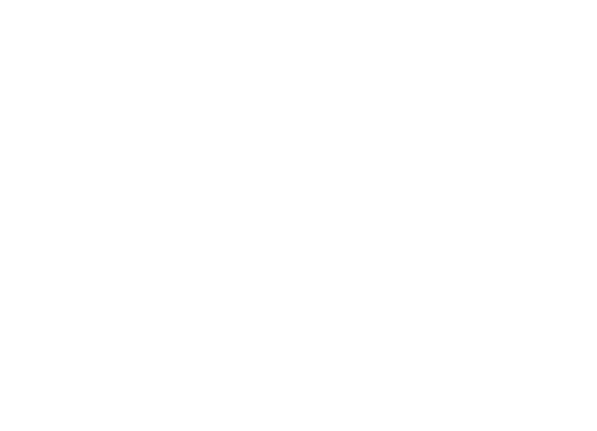 Light Logo